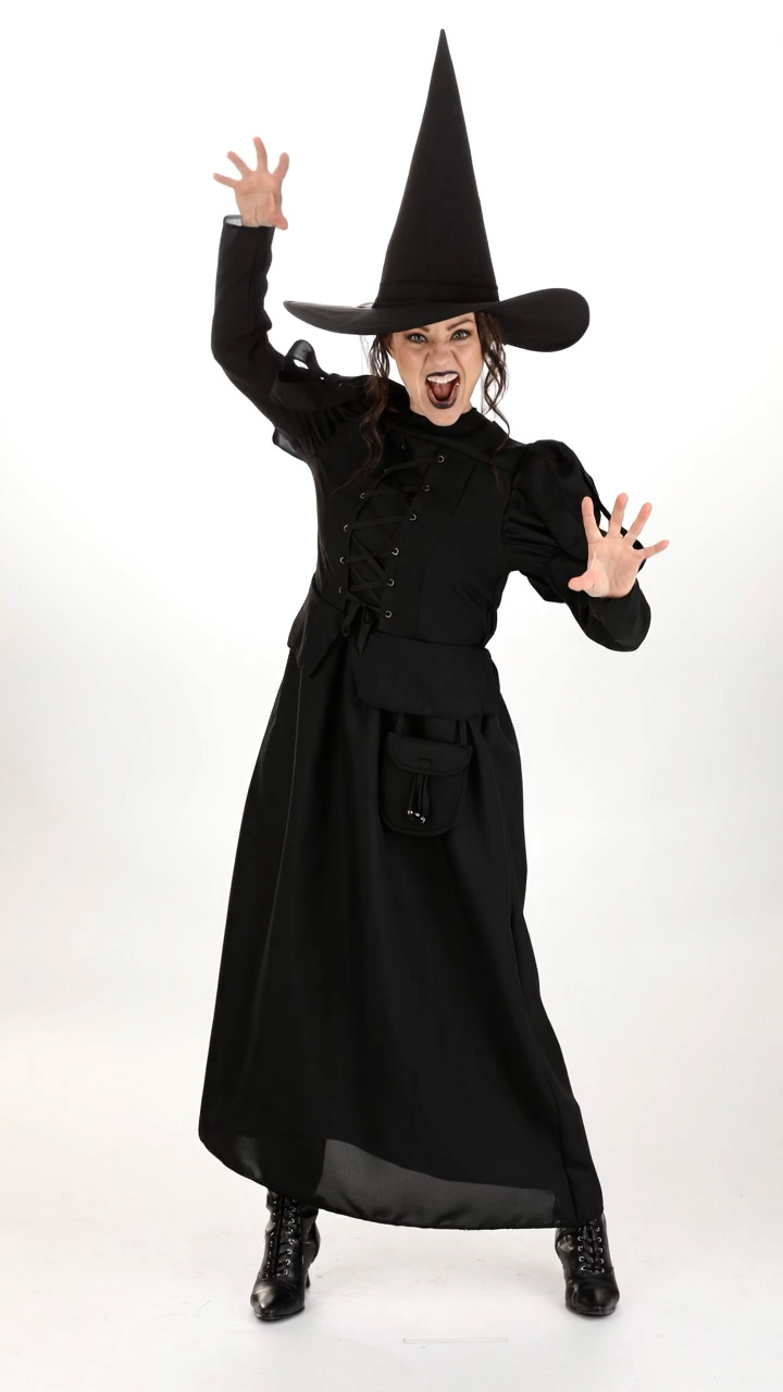 JLJLF1040AD Ai Wizard of Oz Adult Wicked Witch Costume